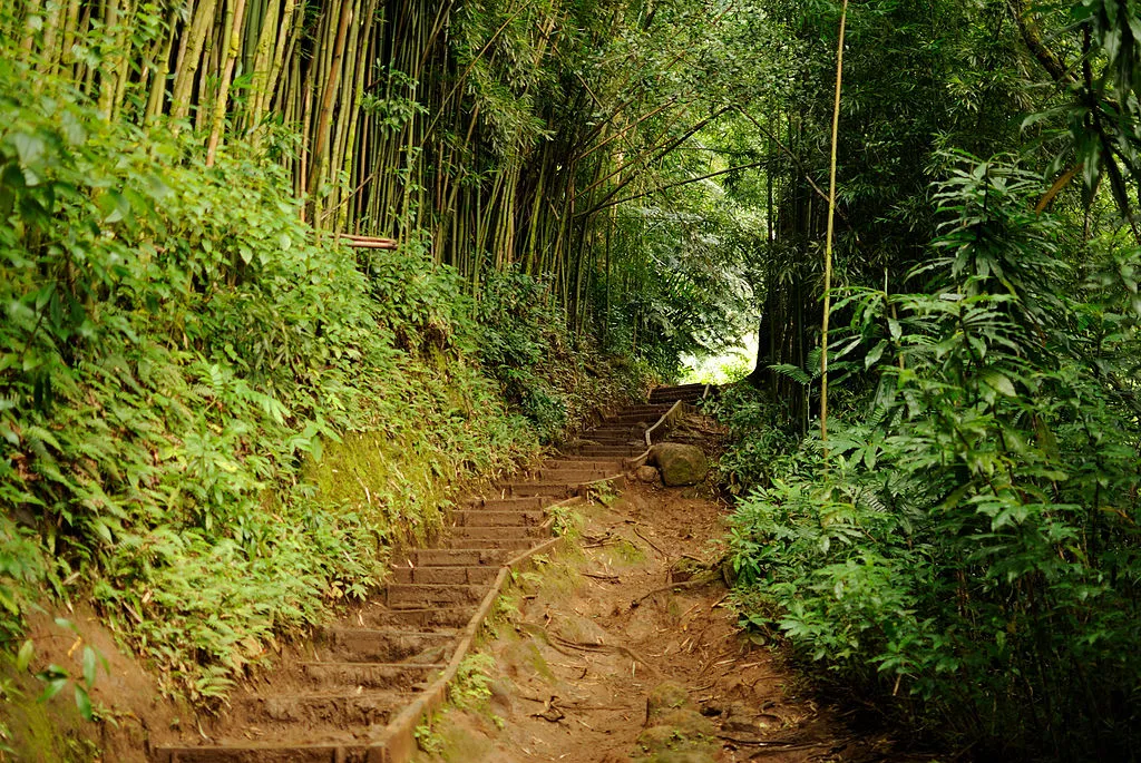 Hawaii's Best Hikes